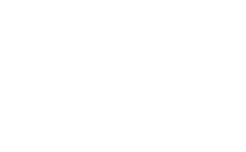 Ayhan Metin